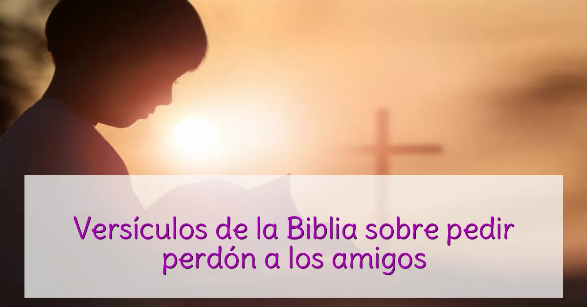 Versículos de la Biblia sobre pedir perdón a los amigos
