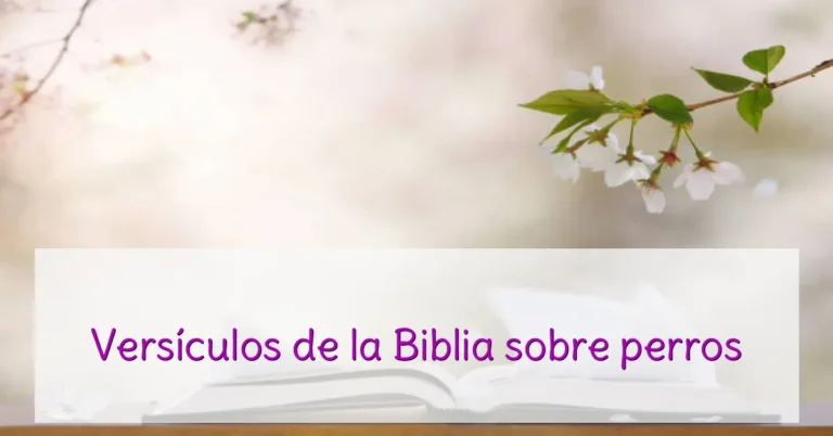 Versículos de la Biblia sobre perros