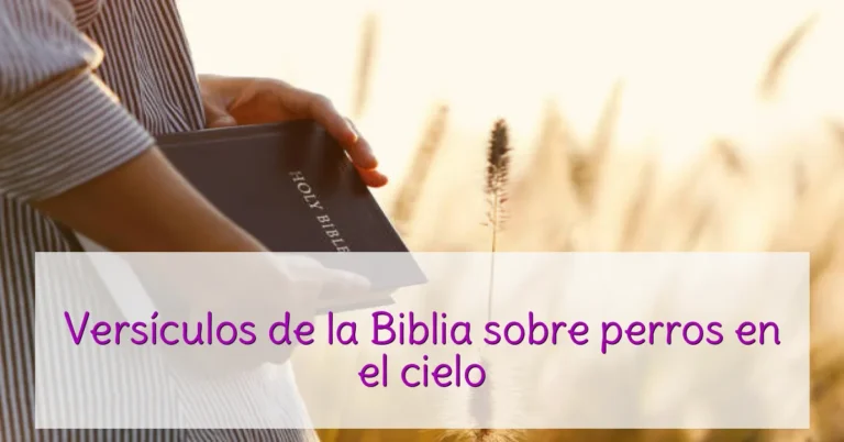 Versículos de la Biblia sobre perros en el cielo