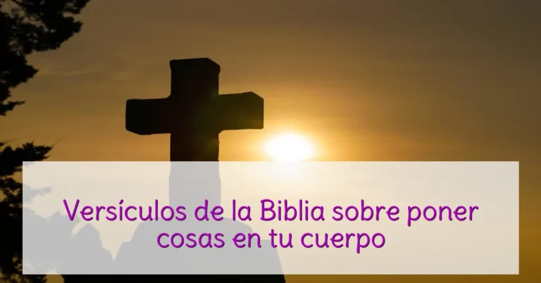 Versículos de la Biblia sobre poner cosas en tu cuerpo