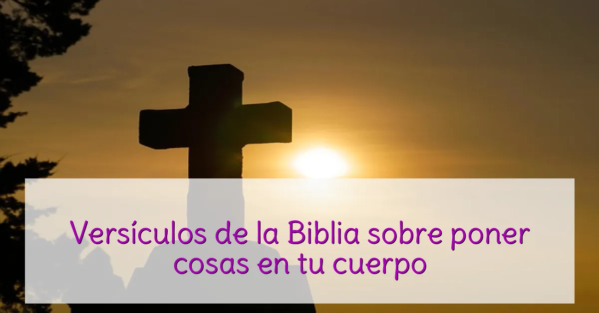 Versículos de la Biblia sobre poner cosas en tu cuerpo