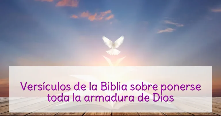 Versículos de la Biblia sobre ponerse toda la armadura de Dios