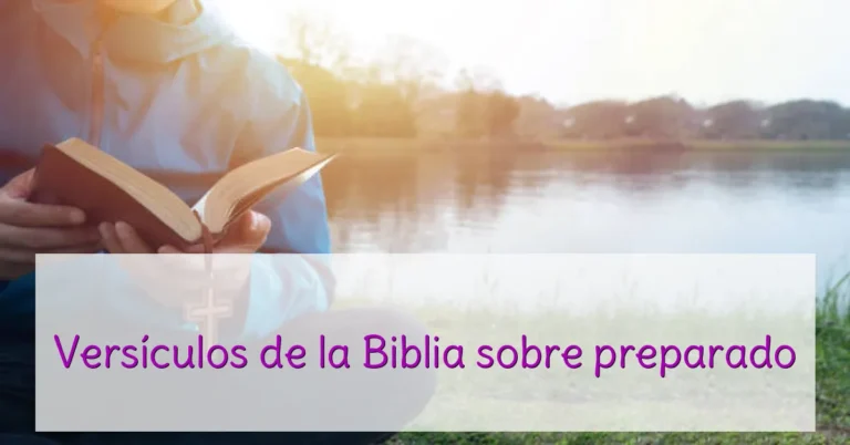 Versículos de la Biblia sobre preparado