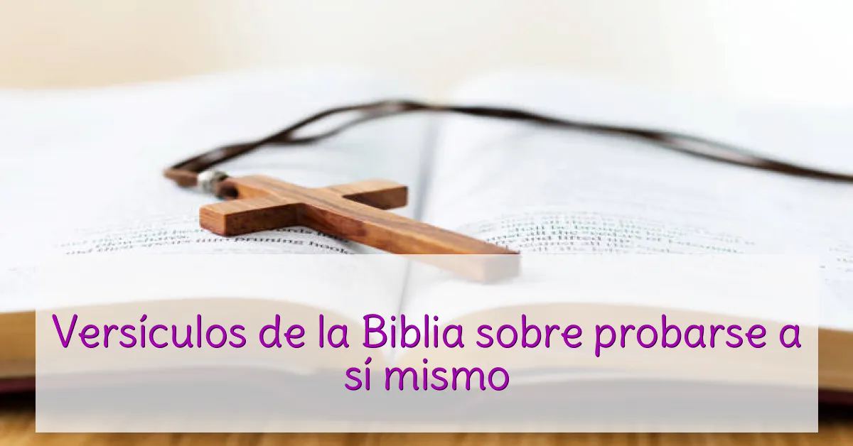 Versículos de la Biblia sobre probarse a sí mismo