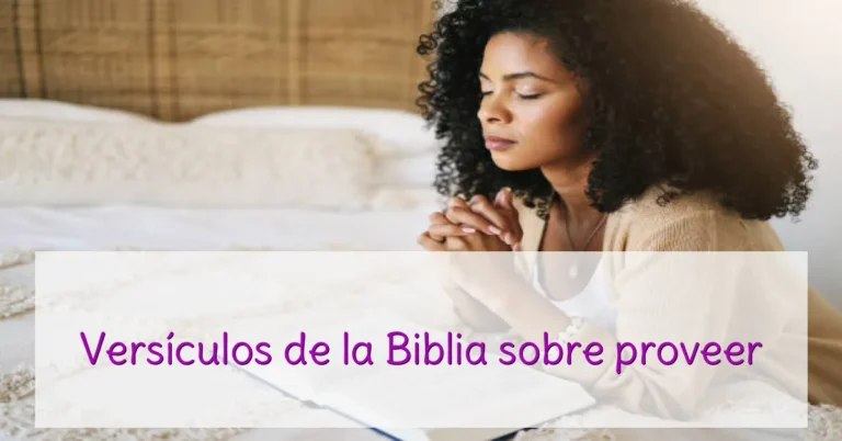 Versículos de la Biblia sobre proveer