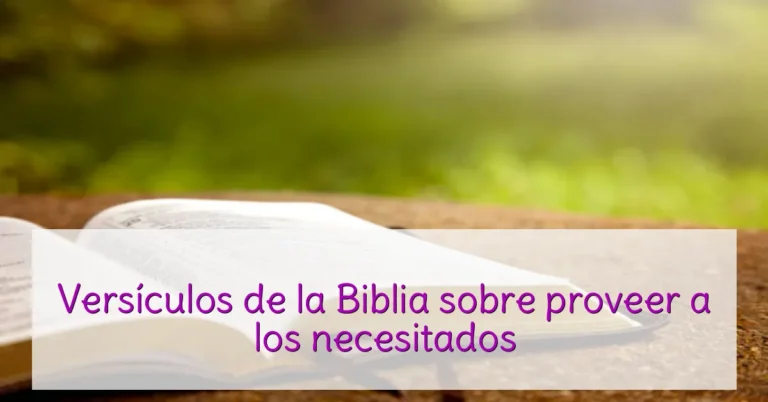 Versículos de la Biblia sobre proveer a los necesitados