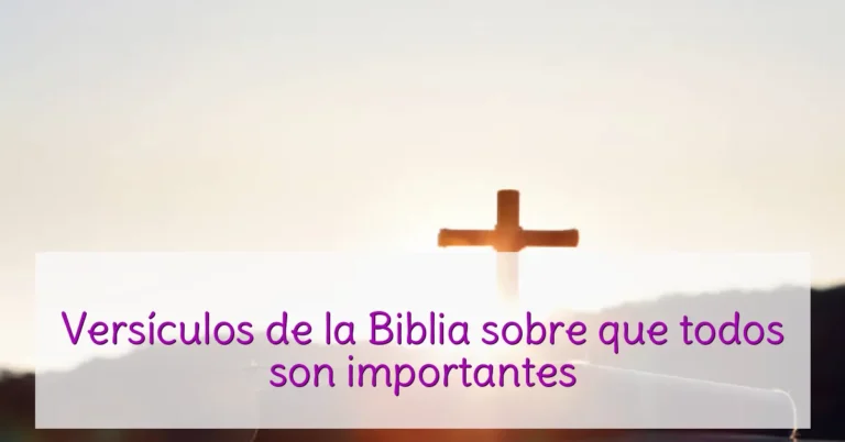 Versículos de la Biblia sobre que todos son importantes
