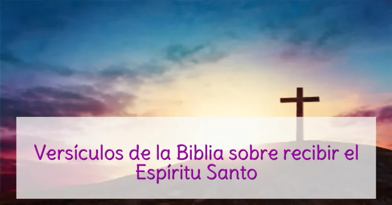Versículos de la Biblia sobre recibir el Espíritu Santo