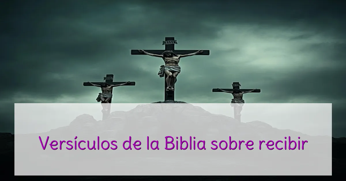 Versículos de la Biblia sobre recibir