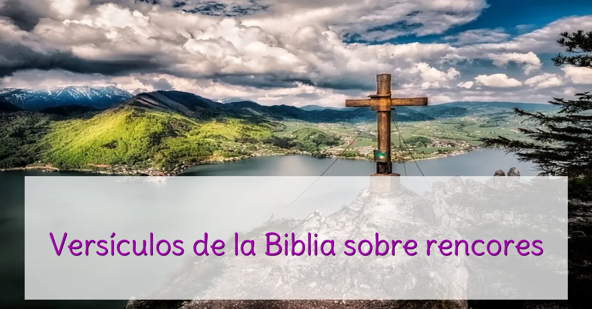 Versículos de la Biblia sobre rencores