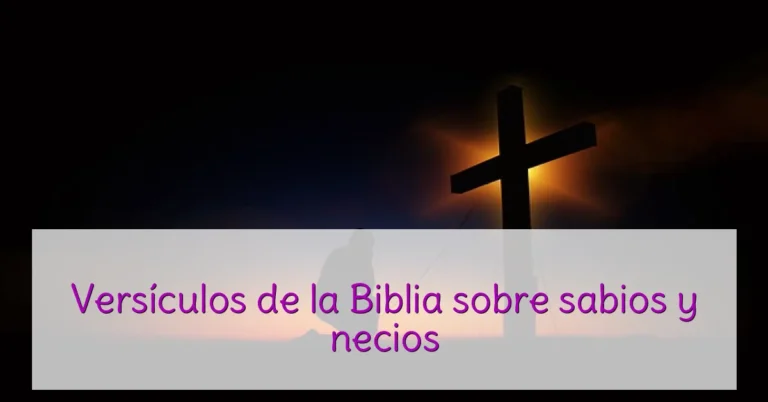 Versículos de la Biblia sobre sabios y necios