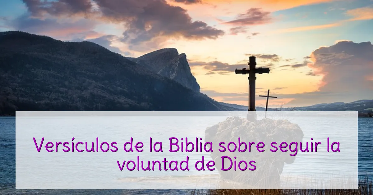 Versículos de la Biblia sobre seguir la voluntad de Dios