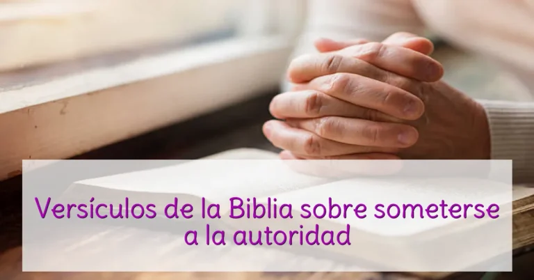 Versículos de la Biblia sobre someterse a la autoridad