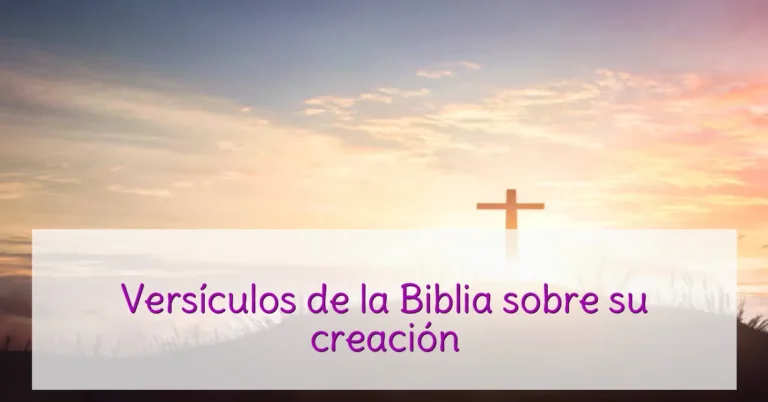Versículos de la Biblia sobre su creación