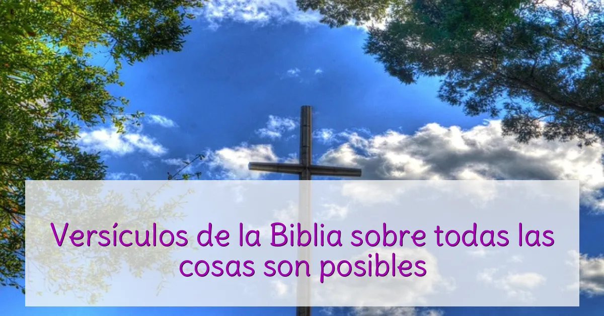 Versículos de la Biblia sobre todas las cosas son posibles