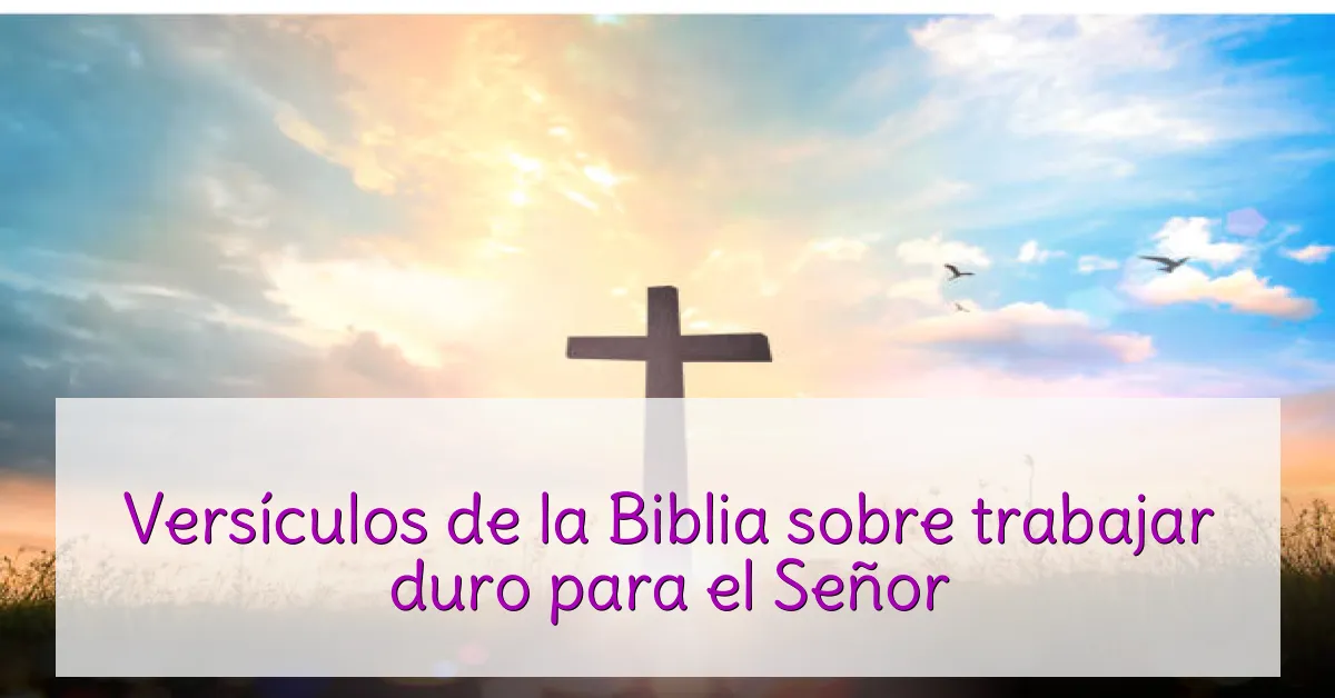 Versículos de la Biblia sobre trabajar duro para el Señor