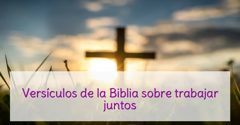 Versículos de la Biblia sobre trabajar juntos