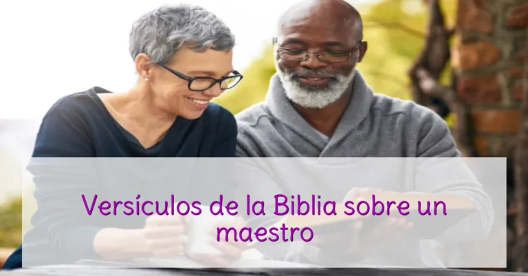 Versículos de la Biblia sobre un maestro