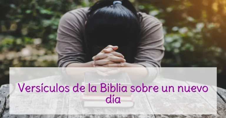 Versículos de la Biblia sobre un nuevo día
