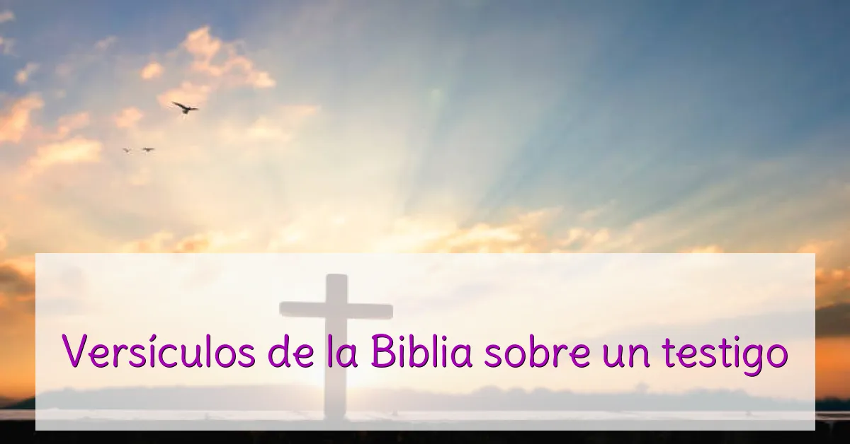 Versículos de la Biblia sobre un testigo