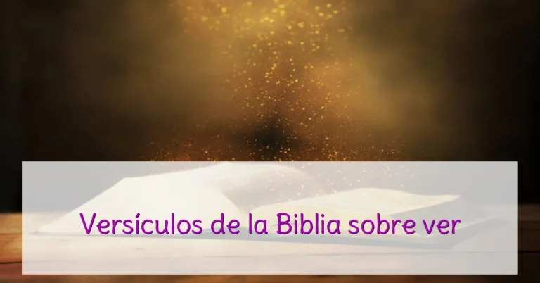Versículos de la Biblia sobre ver