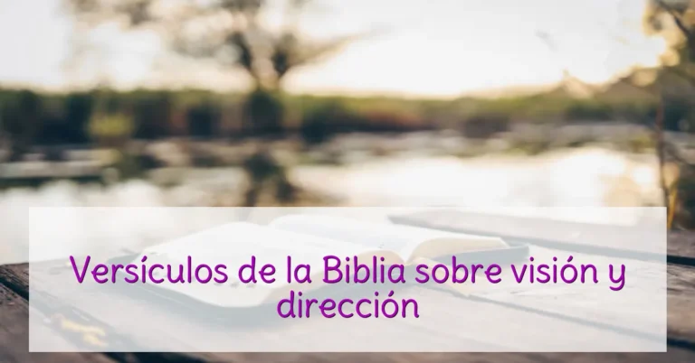 Versículos de la Biblia sobre visión y dirección