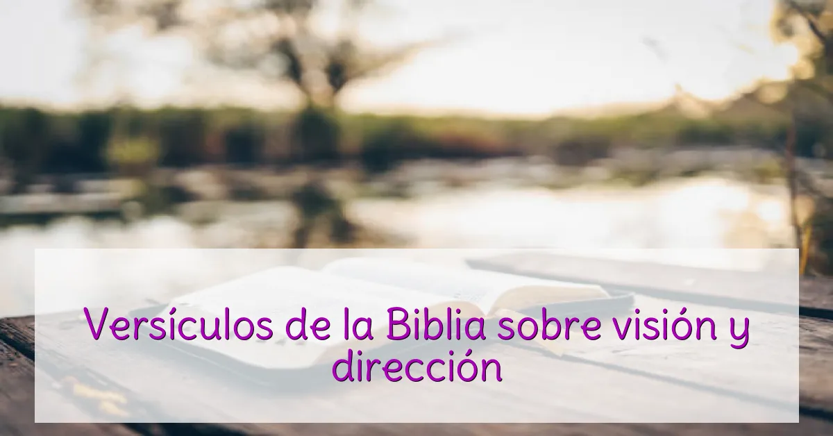 Versículos de la Biblia sobre visión y dirección