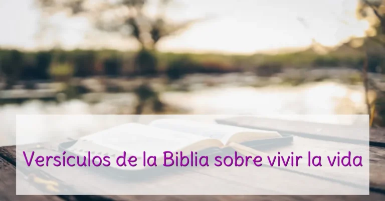 Versículos de la Biblia sobre vivir la vida