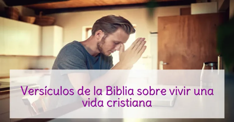 Versículos de la Biblia sobre vivir una vida cristiana