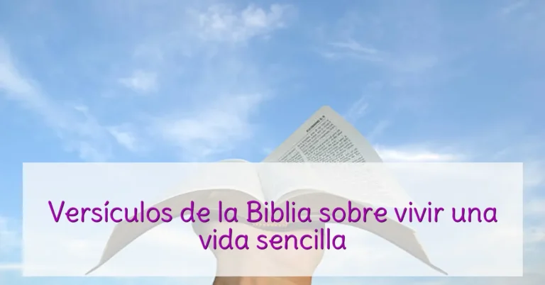 Versículos de la Biblia sobre vivir una vida sencilla