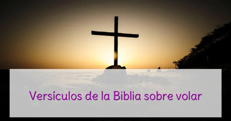 Versículos de la Biblia sobre volar