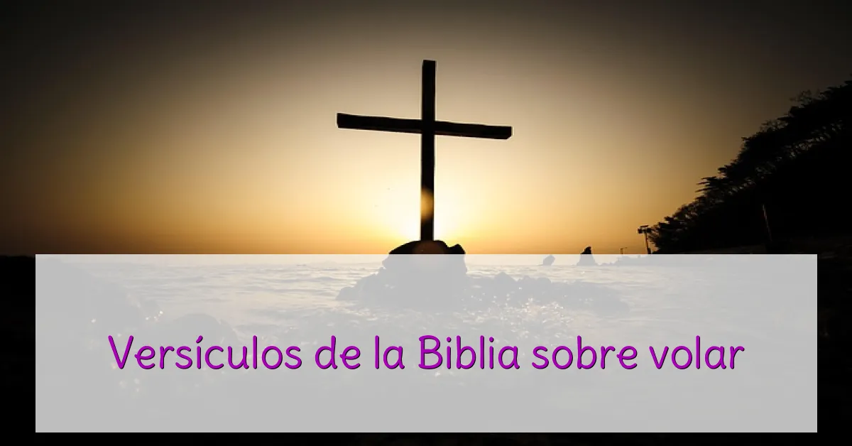 Versículos de la Biblia sobre volar